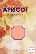 Load image into Gallery viewer, Dixie Belle Kreidefarbe in Apricot (blasses Orange)