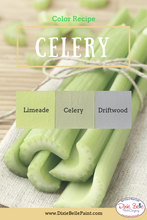 Load image into Gallery viewer, Dixie Belle Kreidefarbe in Driftwood (helles Grau)