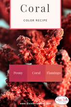 Load image into Gallery viewer, Dixie Belle Kreidefarbe in Peony (Pink)