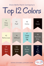 Load image into Gallery viewer, Dixie Belle Kreidefarbe in Vintage Duck Egg (Hellblau mit grüngrauen Untertönen)