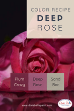 Load image into Gallery viewer, Dixie Belle Kreidefarbe in Plum Crazy (dunkles Pink mit Lila Unterton)