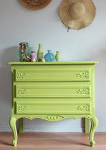 Load image into Gallery viewer, Daydream Apothecary - Free Spirit With Bella Renovare by Crys'Dawna - Living Light