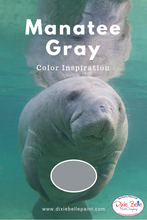 Load image into Gallery viewer, Dixie Belle Kreidefarbe in Manatee Gray (helles Grau mit leichten blauen Unterton)