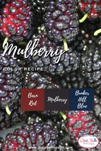 Load image into Gallery viewer, Dixie Belle Kreidefarbe in Barn Red (warmes Rot mit braunen Unterton)