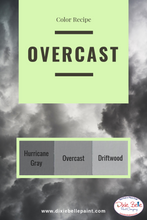 Load image into Gallery viewer, Dixie Belle Kreidefarbe in Driftwood (helles Grau)