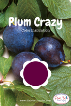 Load image into Gallery viewer, Dixie Belle Kreidefarbe in Plum Crazy (dunkles Pink mit Lila Unterton)