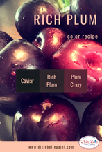 Load image into Gallery viewer, Dixie Belle Kreidefarbe in Plum Crazy (dunkles Pink mit Lila Unterton)