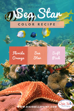 Load image into Gallery viewer, Dixie Belle Kreidefarbe in Soft Pink (helles Rosa)