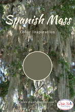Load image into Gallery viewer, Dixie Belle Kreidefarbe in Spanish Moss (Grüngrau)