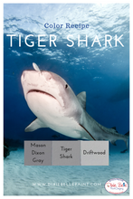 Load image into Gallery viewer, Dixie Belle Kreidefarbe in Driftwood (helles Grau)