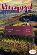 Load image into Gallery viewer, Dixie Belle Kreidefarbe in Plum Crazy (dunkles Pink mit Lila Unterton)