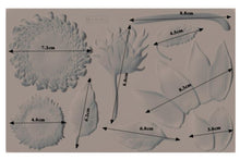 Load image into Gallery viewer, Re Design with Prima - Silikonform - FOREST TREASURES