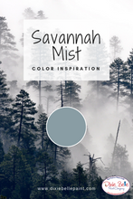 Lade das Bild in den Galerie-Viewer, Dixie Belle Kreidefarbe in Savannah Mist (Hellblau mit grauen Untertönen)
