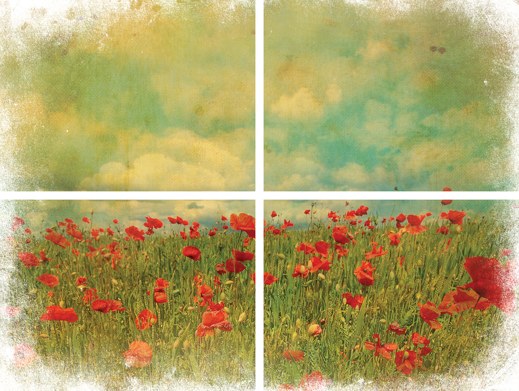 Belles & Whistles Transfer - Field of Flowers - 4 Blätter