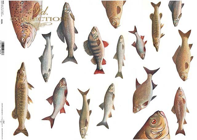 Decoupage-Papier Fische