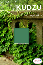 Lade das Bild in den Galerie-Viewer, Dixie Belle Kreidefarbe in Kudzu (natürliches Grün)
