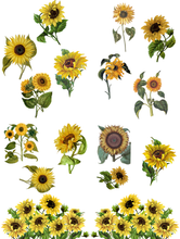 Lade das Bild in den Galerie-Viewer, Belles &amp; Whistles Transfer - Sunflowers - 4 Blätter
