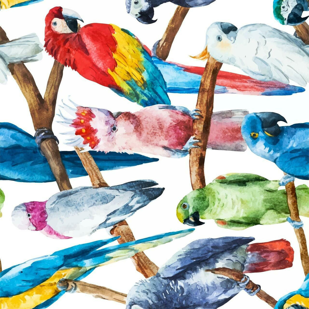 Belles and Whistles - Decoupage Papier - Birds - 30 cm x 32 cm