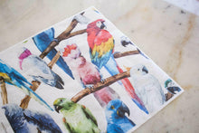 Lade das Bild in den Galerie-Viewer, Belles and Whistles - Decoupage Papier - Birds - 30 cm x 32 cm
